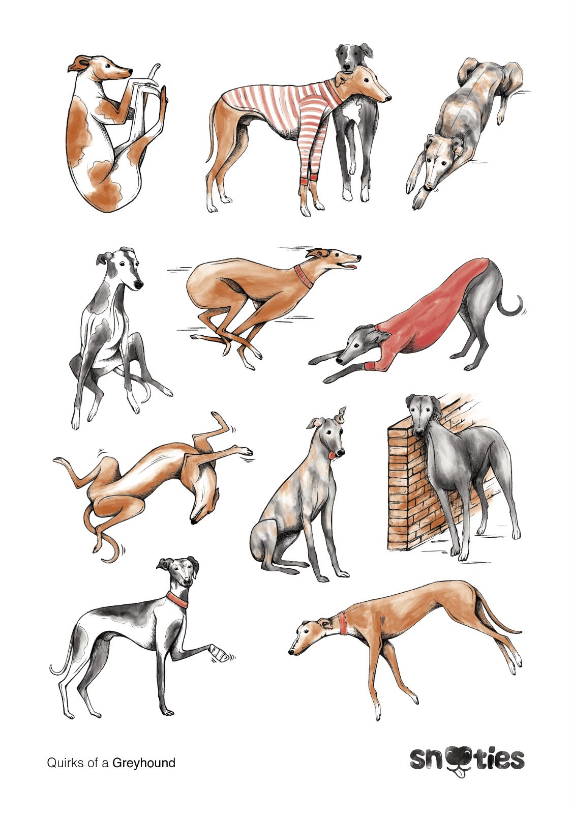 'Quirks of a Greyhound' T-Shirt White
