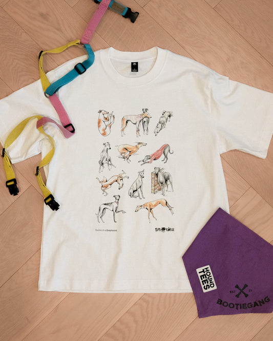 'Quirks of a Greyhound' T-Shirt White